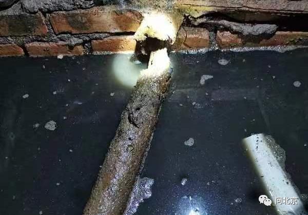 DƬ